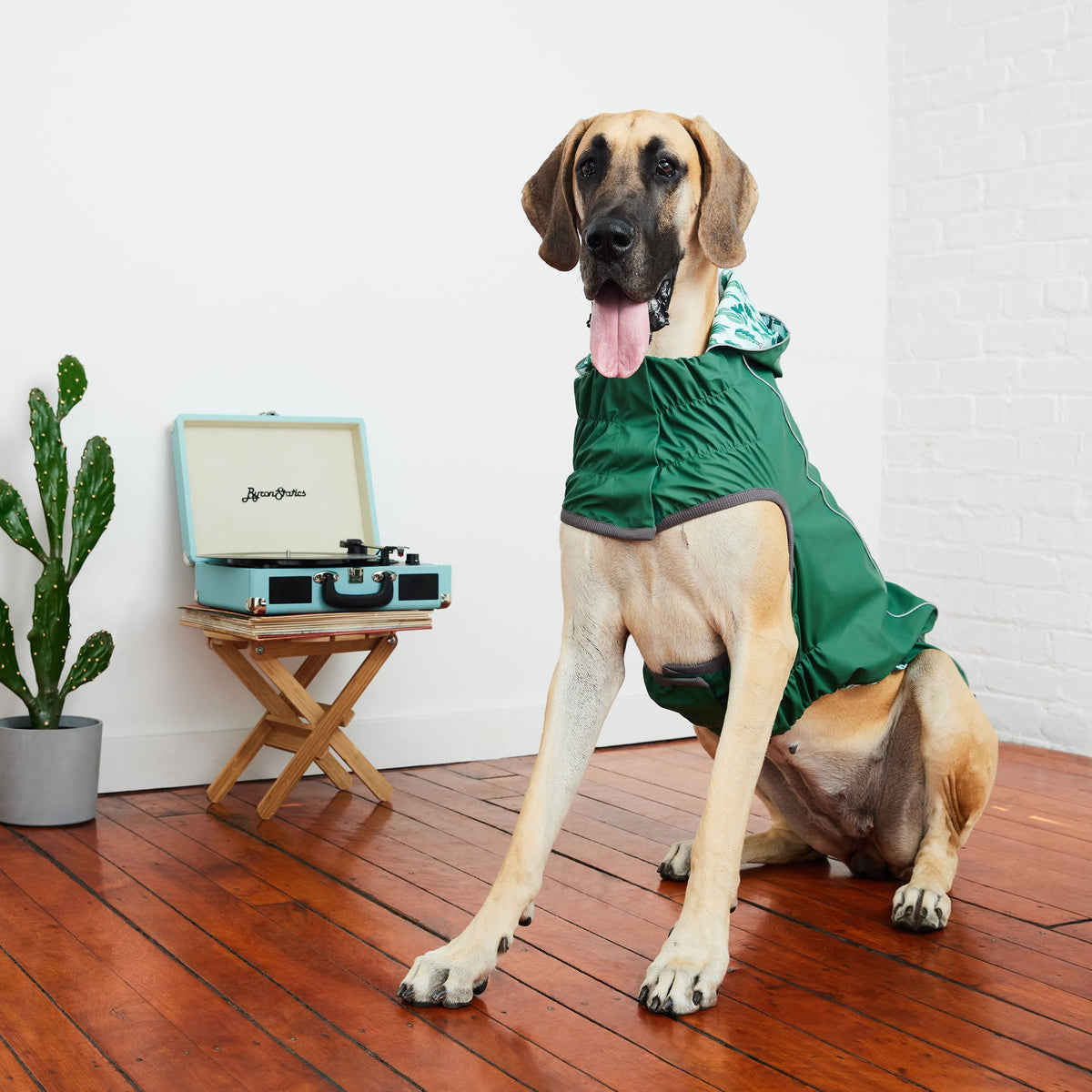 GF PET Reversible Elasto-Fit Dog Raincoat - Green/Green