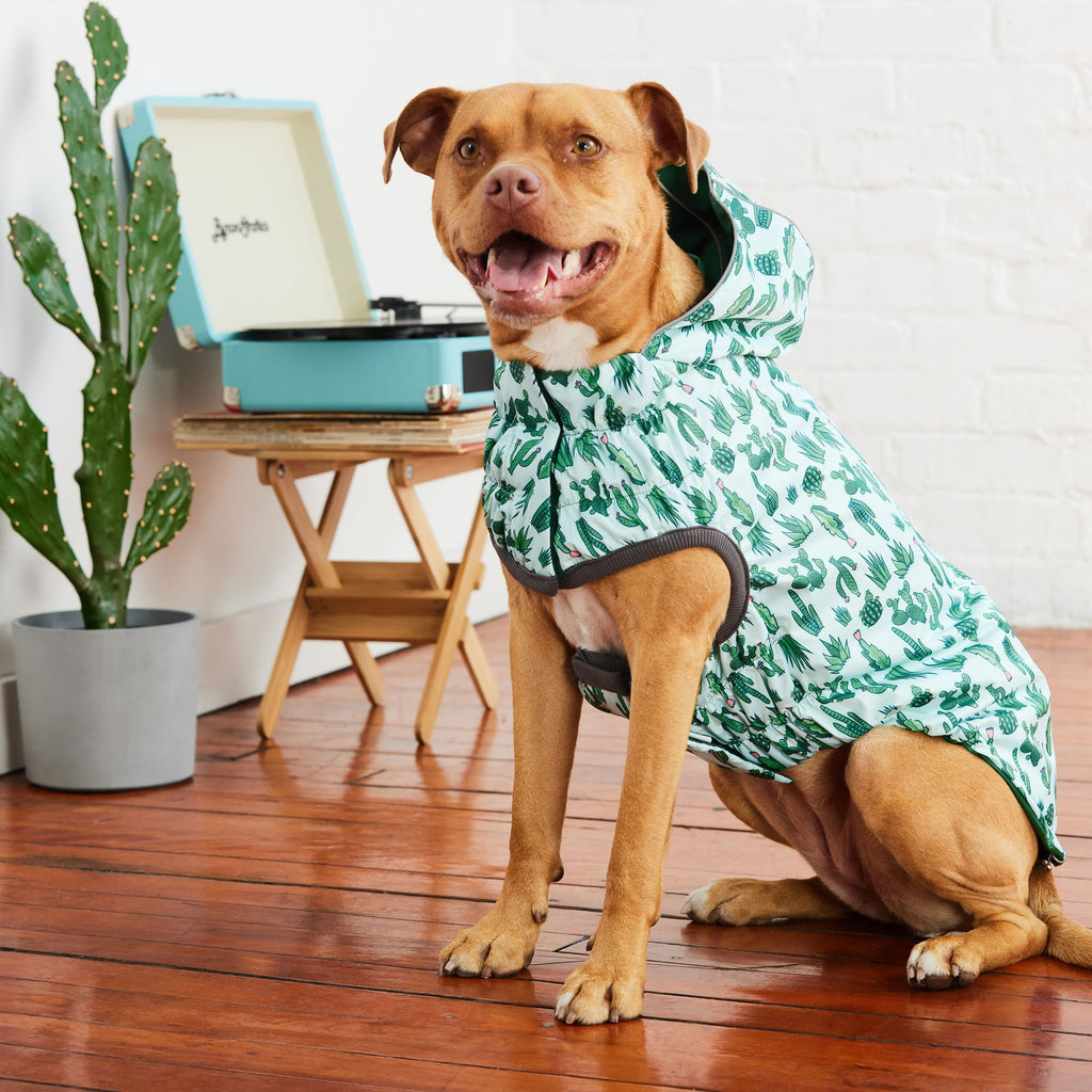 GF PET Reversible Elasto-Fit Dog Raincoat - Green/Green