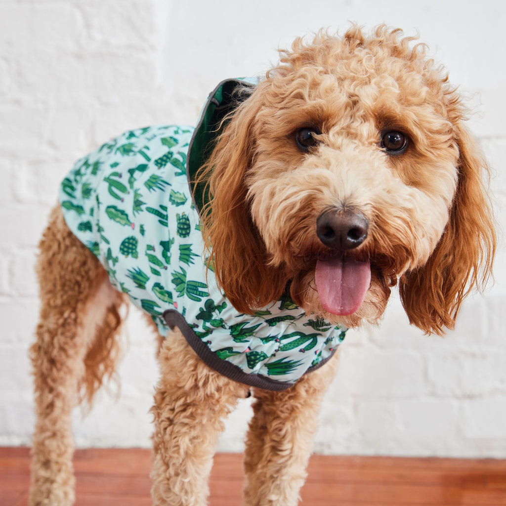 GF PET Reversible Elasto-Fit Dog Raincoat - Green/Green