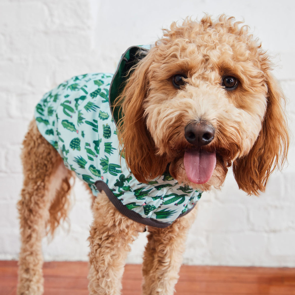 GF PET Reversible Elasto-Fit Dog Raincoat - Green/Green