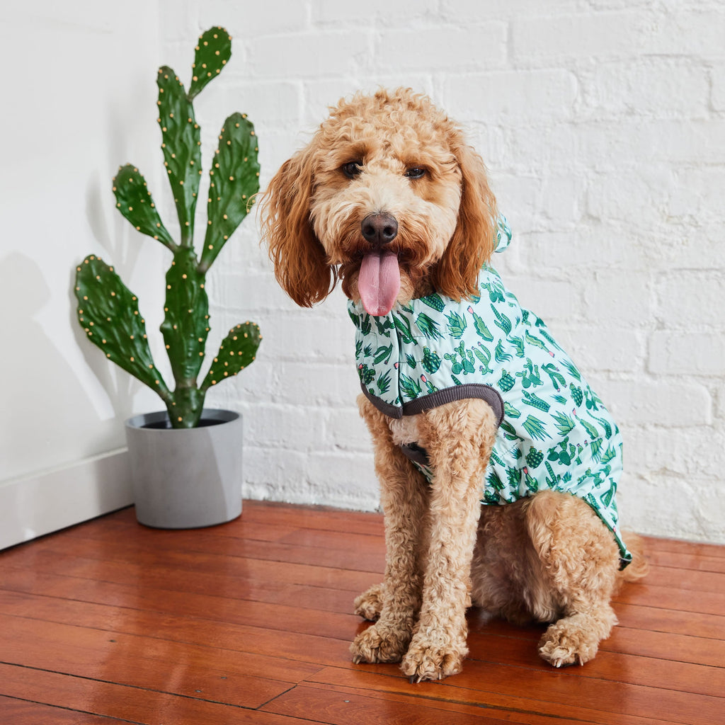 GF PET Reversible Elasto-Fit Dog Raincoat - Green/Green
