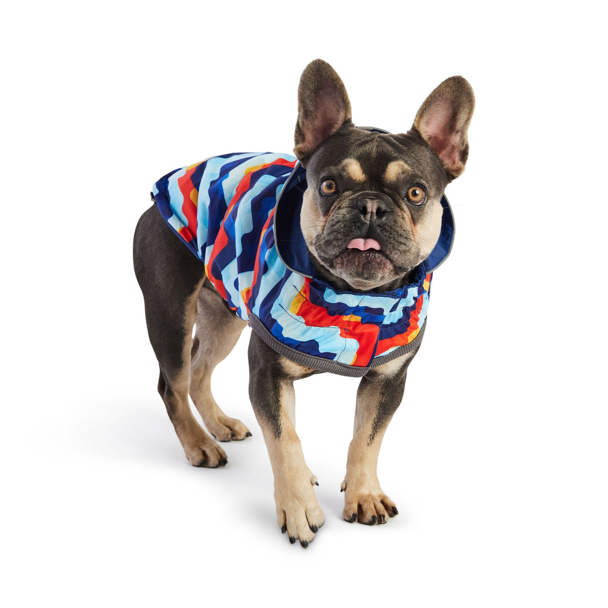 GF PET Reversible Elasto-Fit Dog Raincoat - Navy/Navy