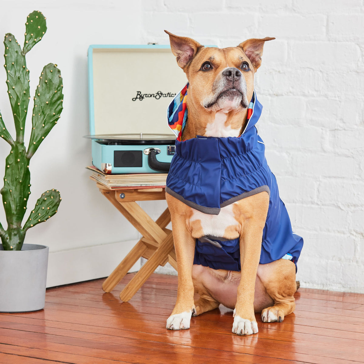 GF PET Reversible Elasto-Fit Dog Raincoat - Navy/Navy