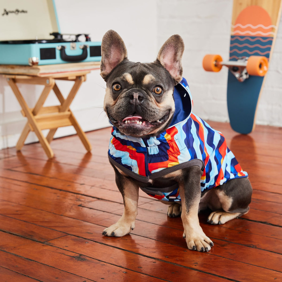 GF PET Reversible Elasto-Fit Dog Raincoat - Navy/Navy
