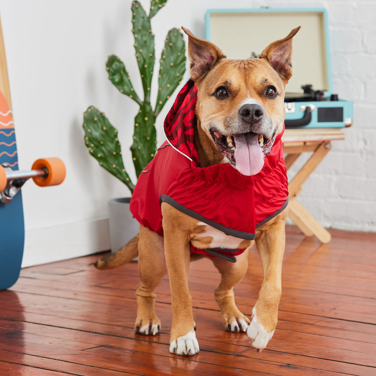 GF PET Reversible Elasto-Fit Dog Raincoat - Red/Red