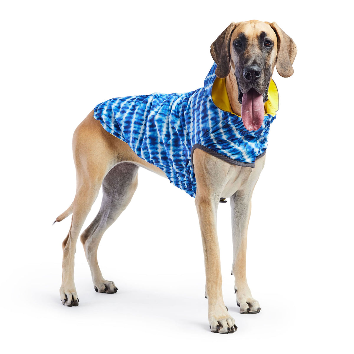 GF PET Reversible Elasto-Fit Dog Raincoat - Yellow/Blue
