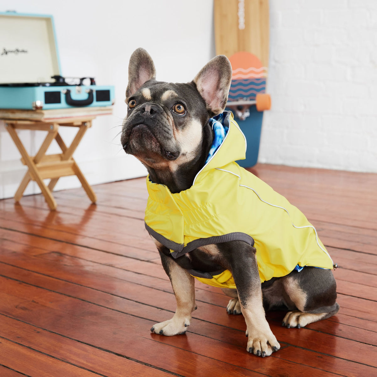 GF PET Reversible Elasto-Fit Dog Raincoat - Yellow/Blue