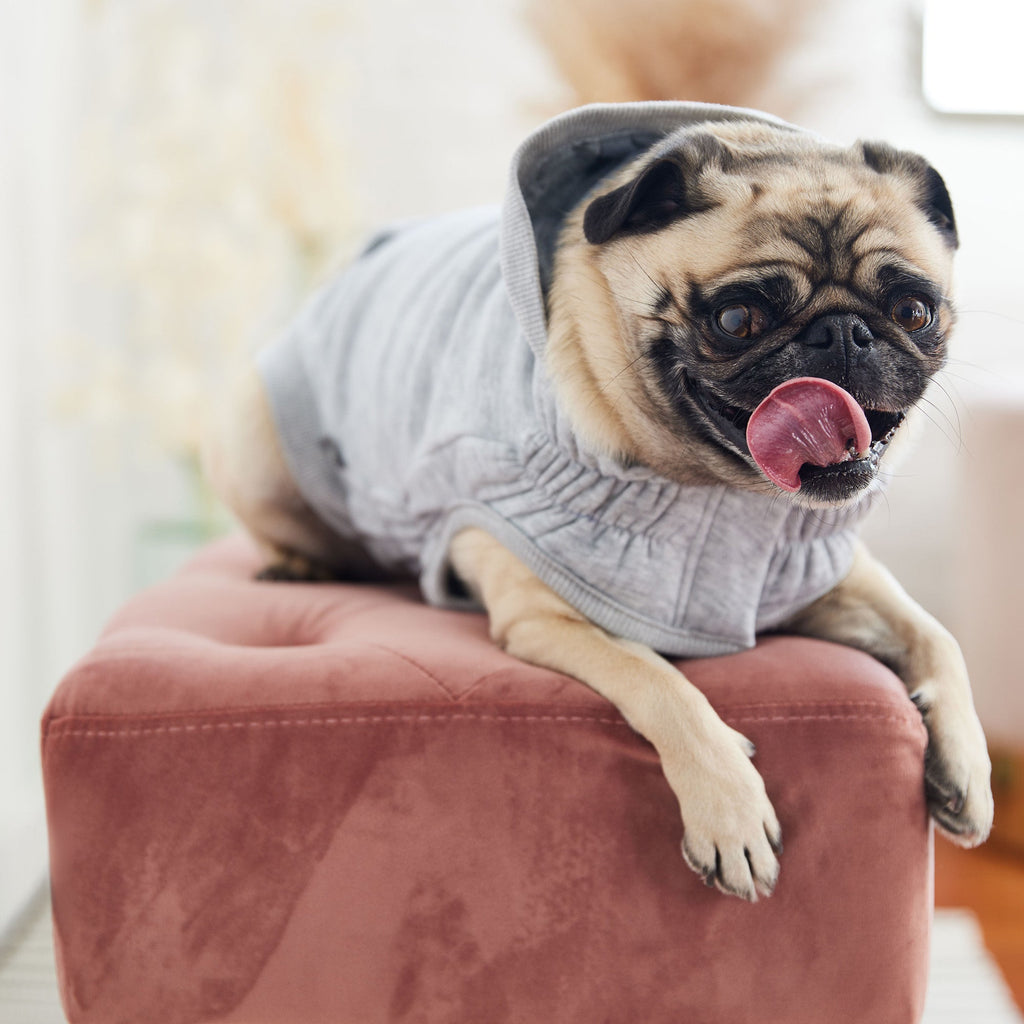 GF PET Urban Dog Hoodie - Heather Grey