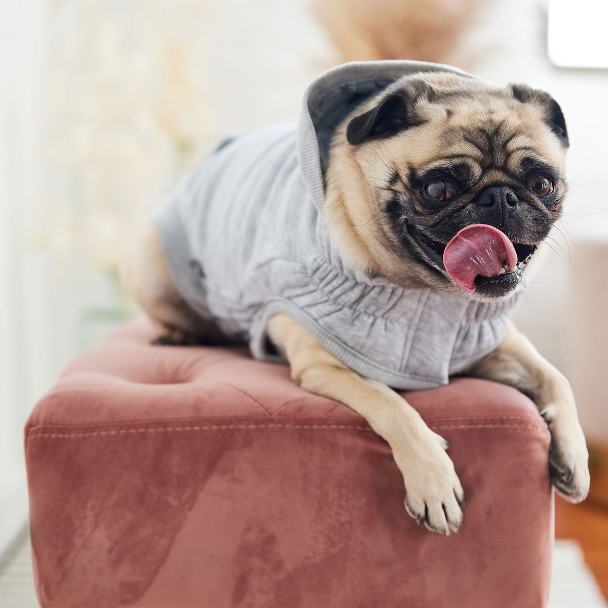 GF PET Urban Dog Hoodie - Heather Grey