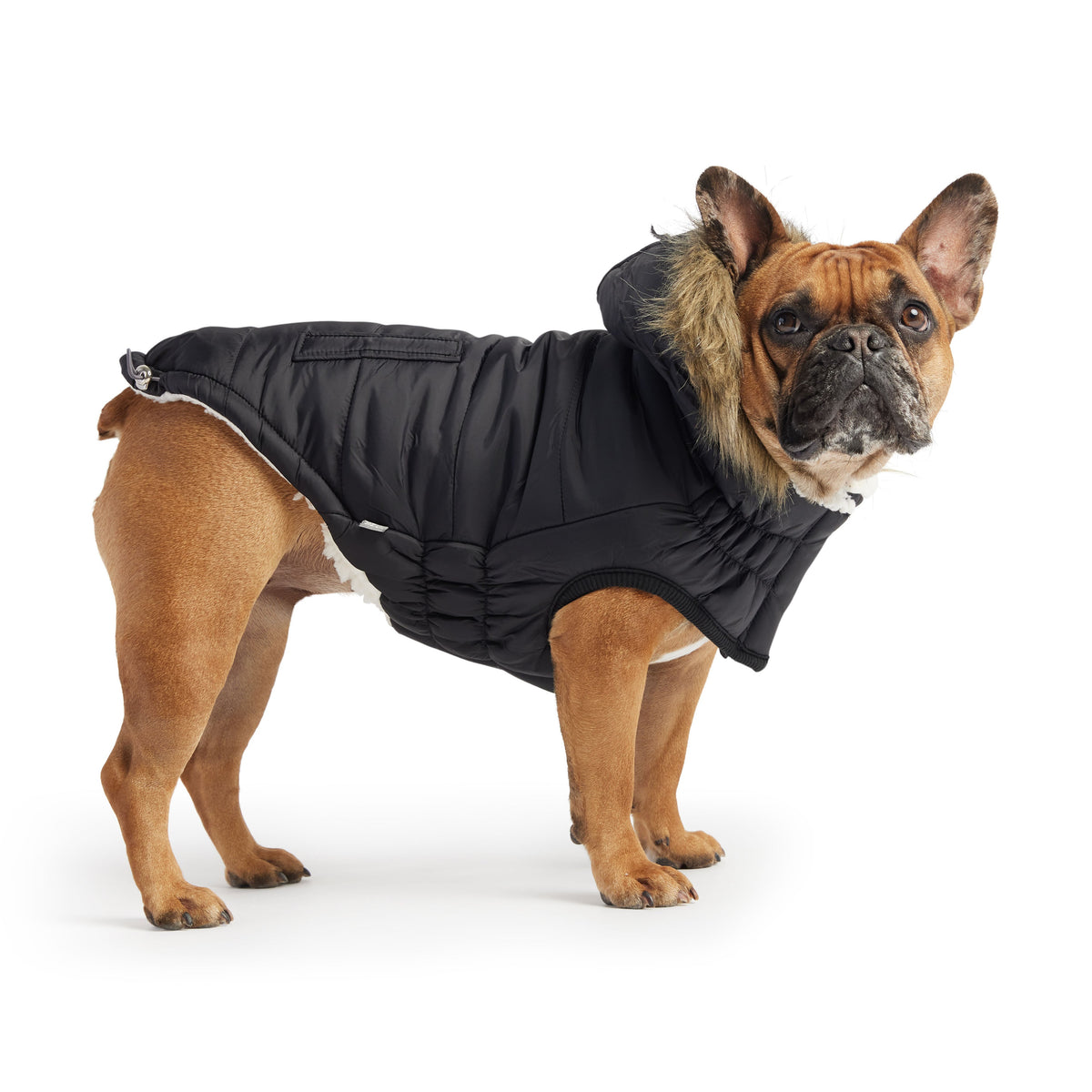 GF PET Urban Dog Parka - Black