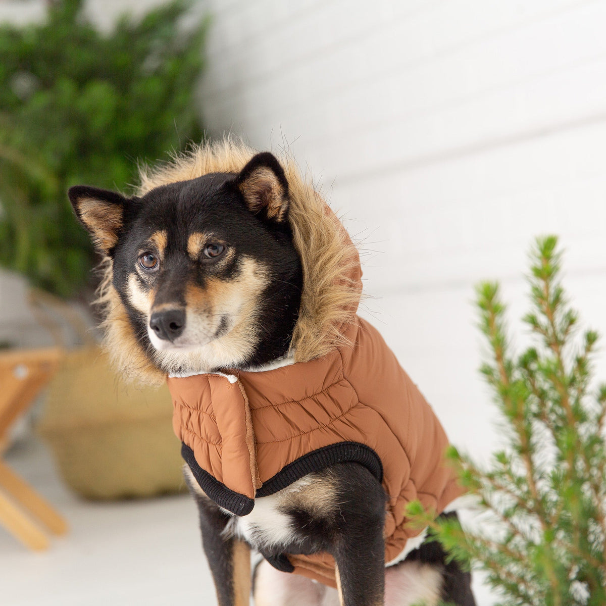 GF PET Urban Dog Parka - Caramel
