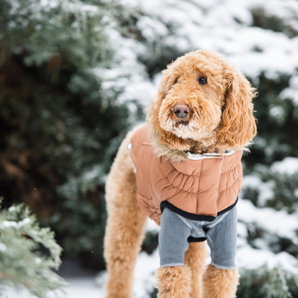 GF PET Urban Dog Parka - Caramel