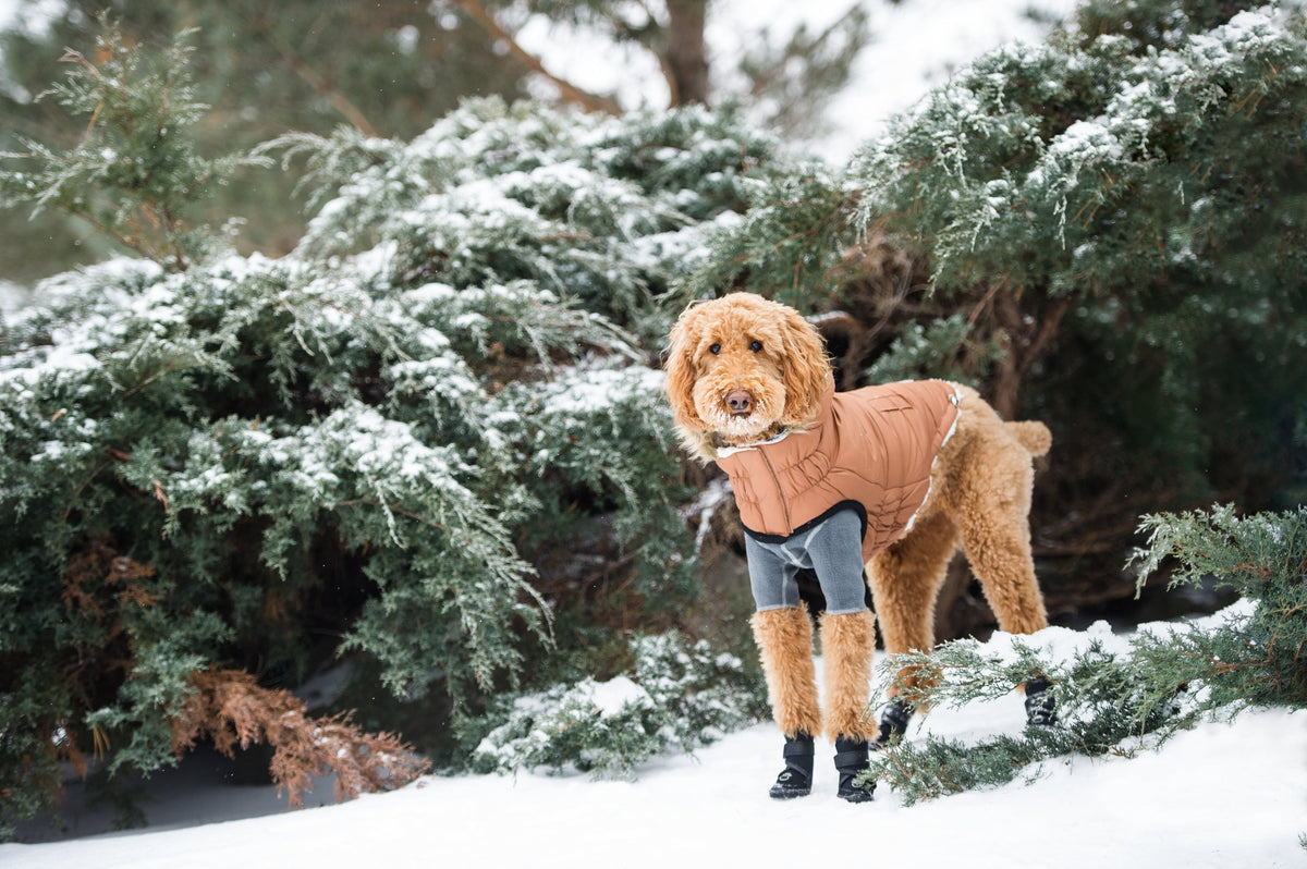 GF PET Urban Dog Parka - Caramel