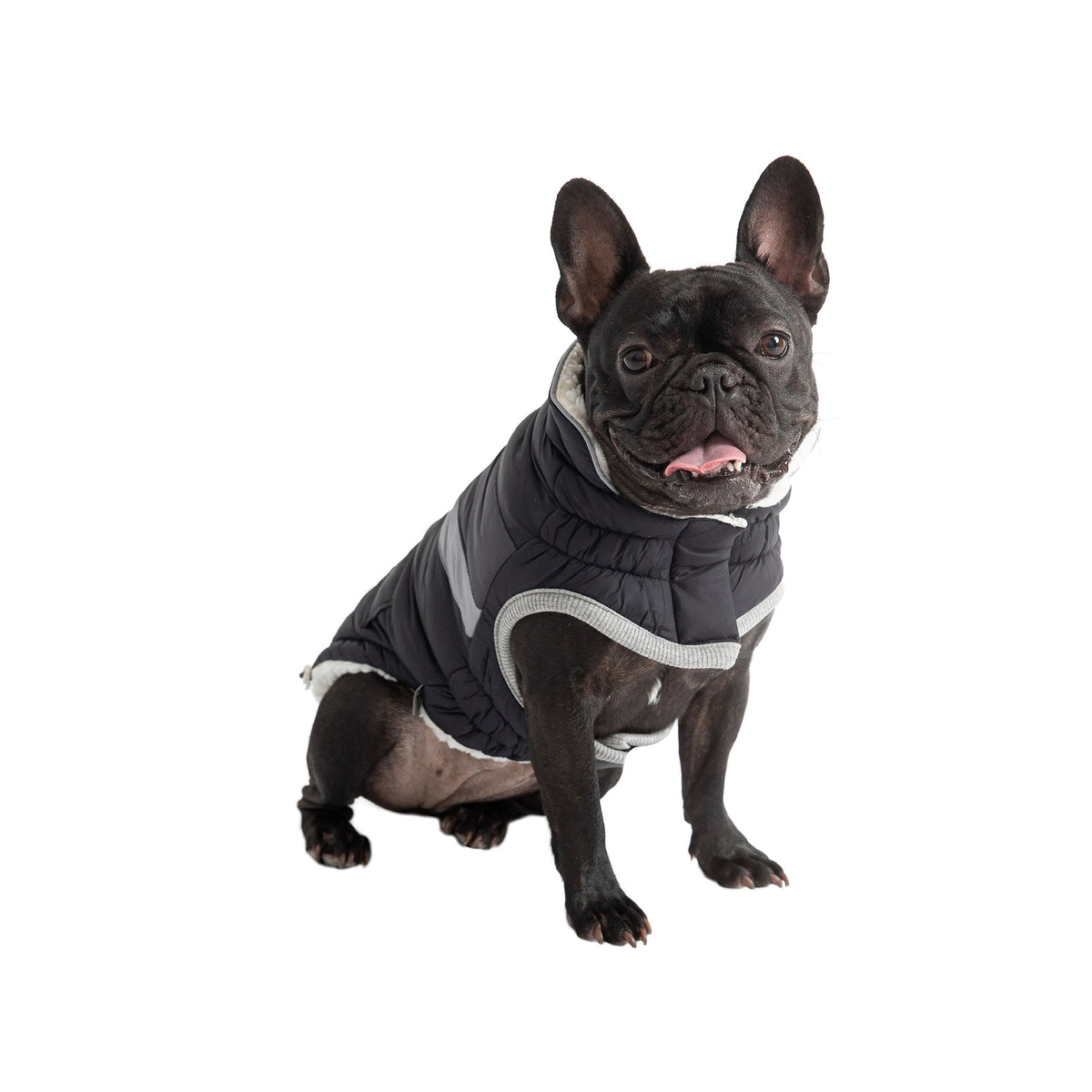 GF PET Alpine Dog Puffer Jacket - Black