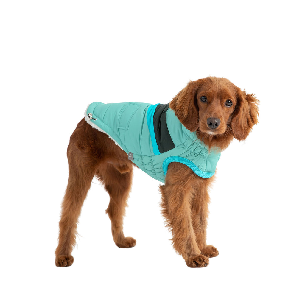 GF PET Alpine Dog Puffer Jacket - Light Aqua