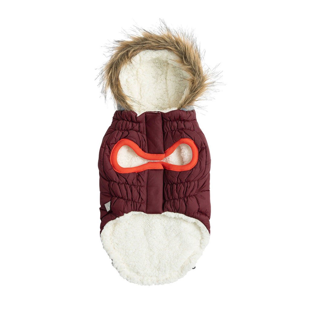 GF PET Winter Sailor Dog Parka - Burgundy