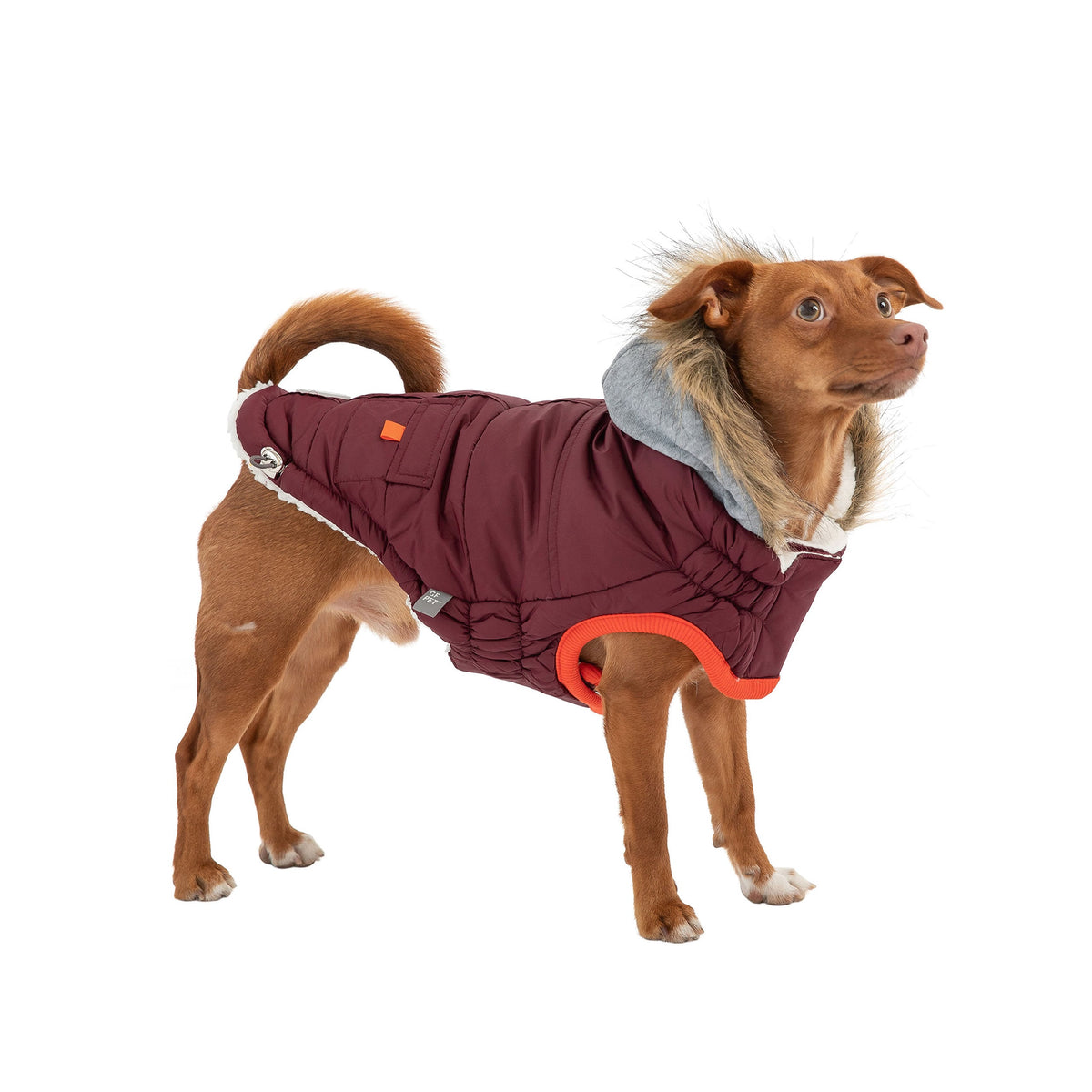 GF PET Winter Sailor Dog Parka - Burgundy