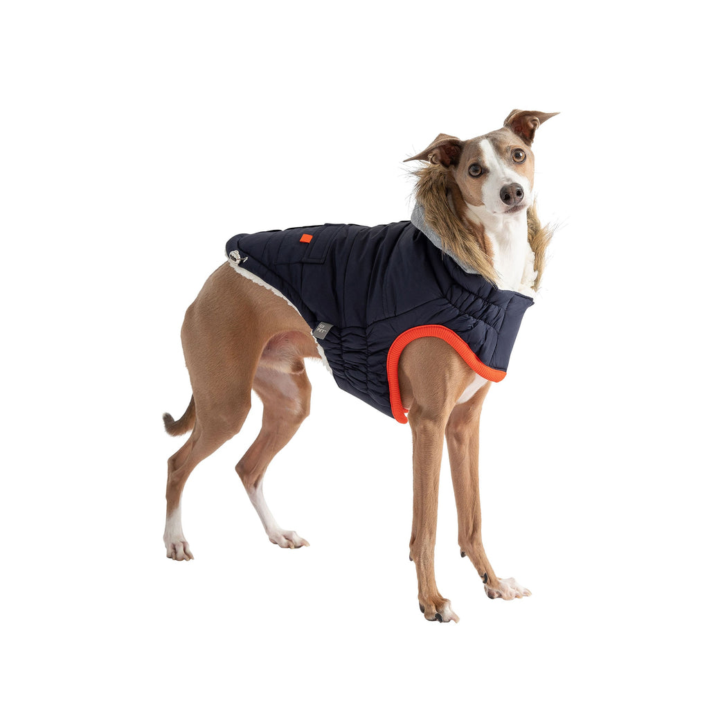 GF PET Winter Sailor Dog Parka - Navy