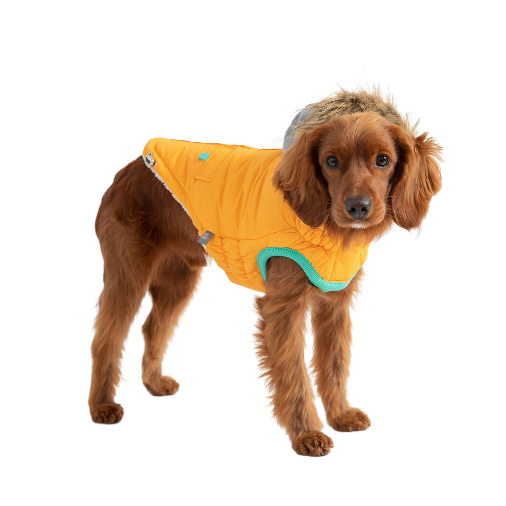 GF PET Winter Sailor Dog Parka - Yellow