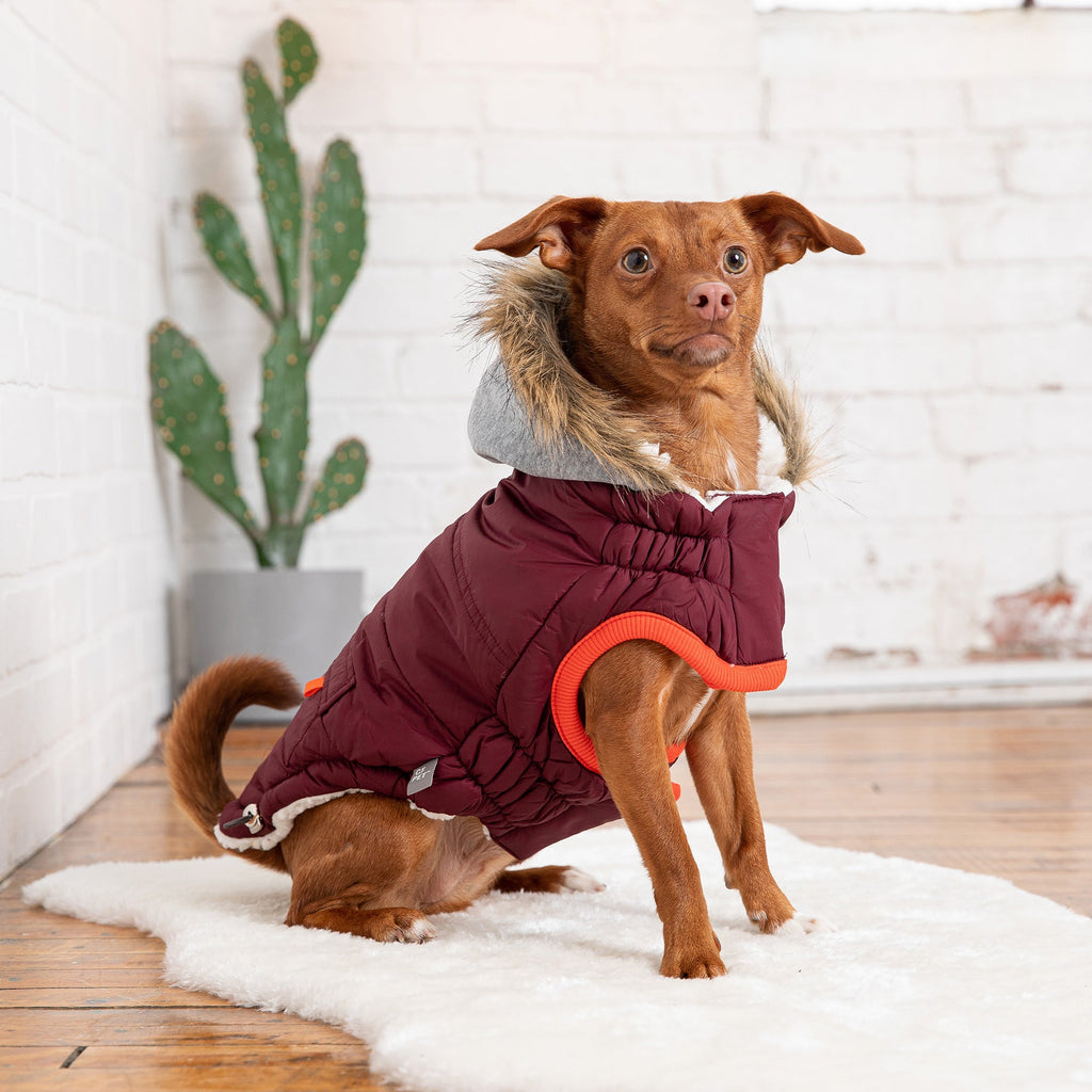 GF PET Winter Sailor Dog Parka - Burgundy