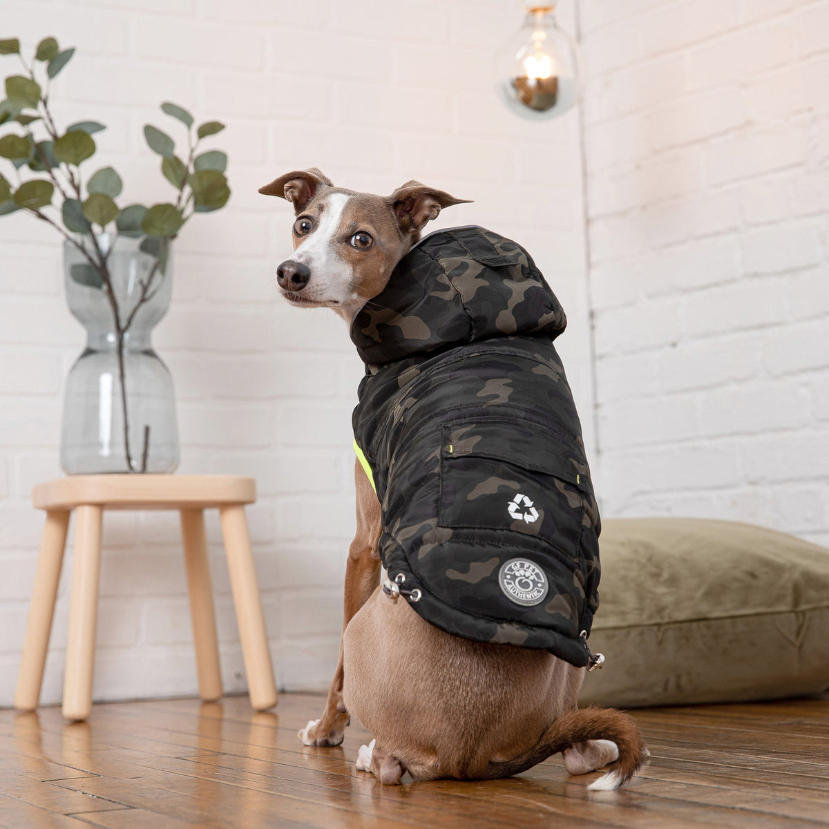 GF PET Recycled Dog Parka - Camouflage