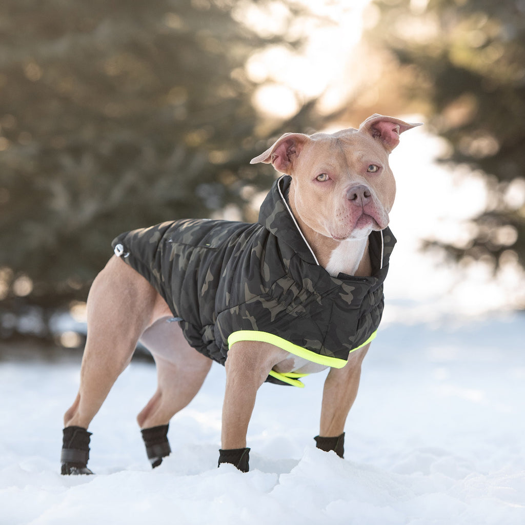 GF PET Recycled Dog Parka - Camouflage