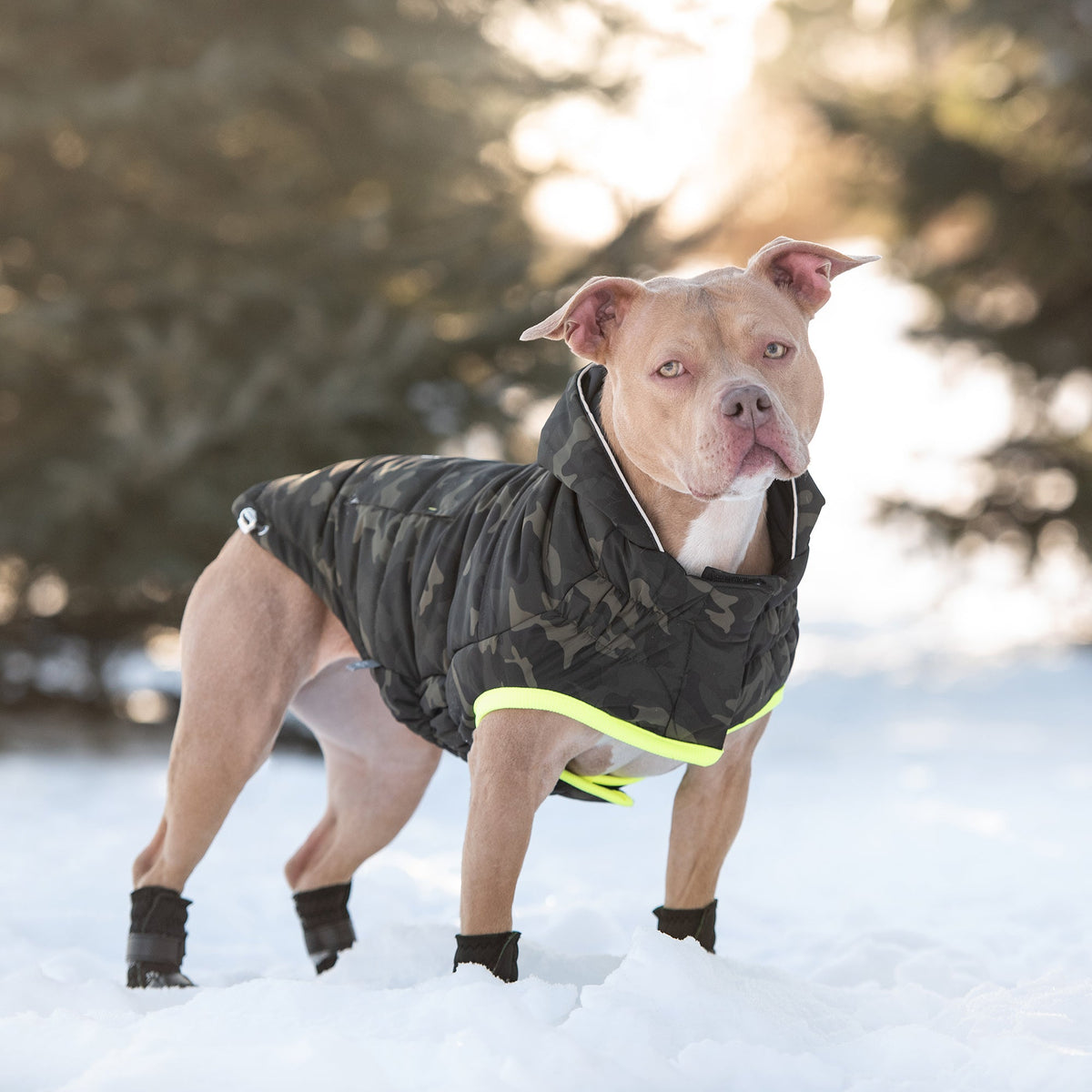 GF PET Recycled Dog Parka - Camouflage