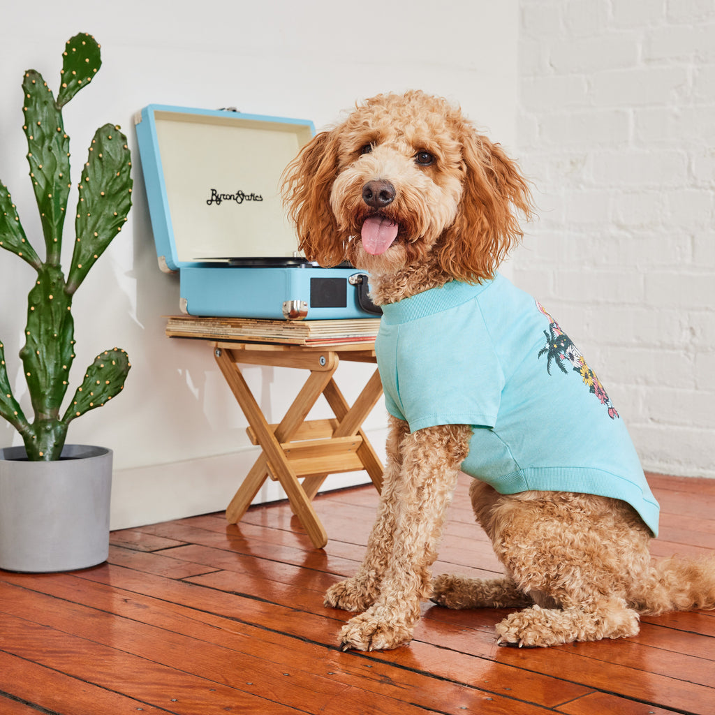 GF PET Graphic Dog T-Shirt