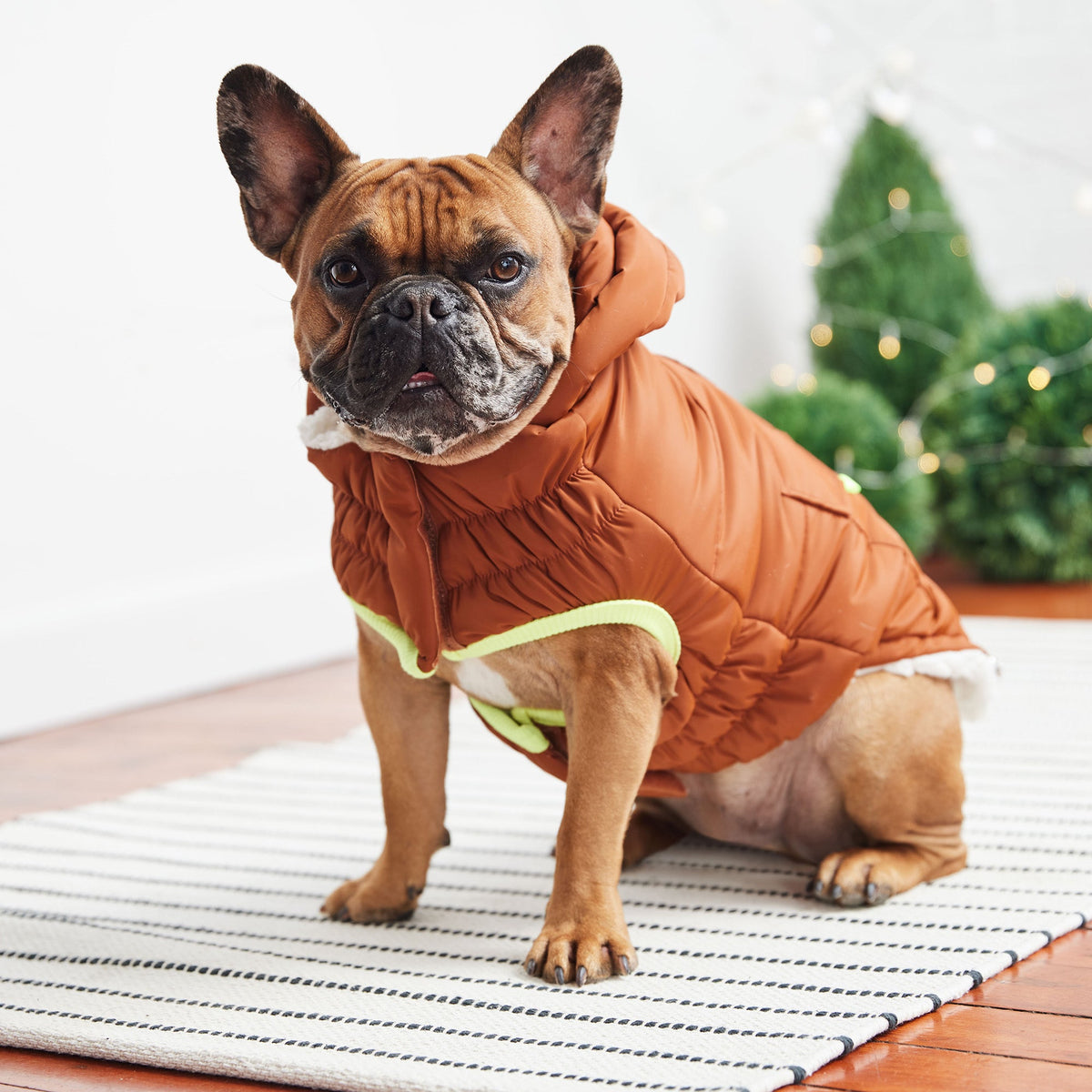 GF PET Puff Dog Parka - Hazel