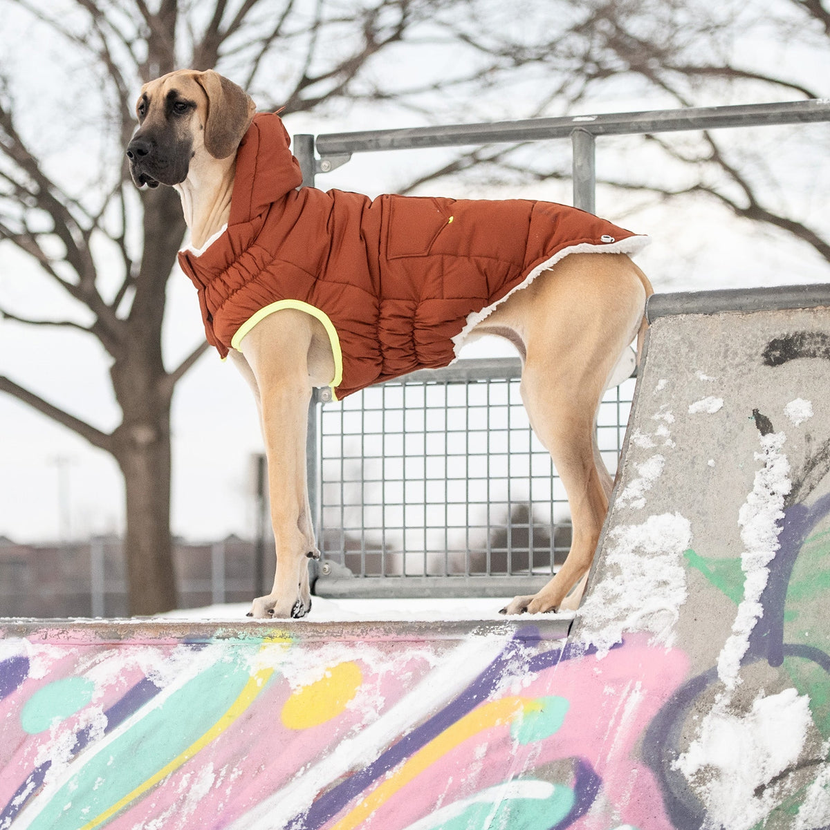 GF PET Puff Dog Parka - Hazel