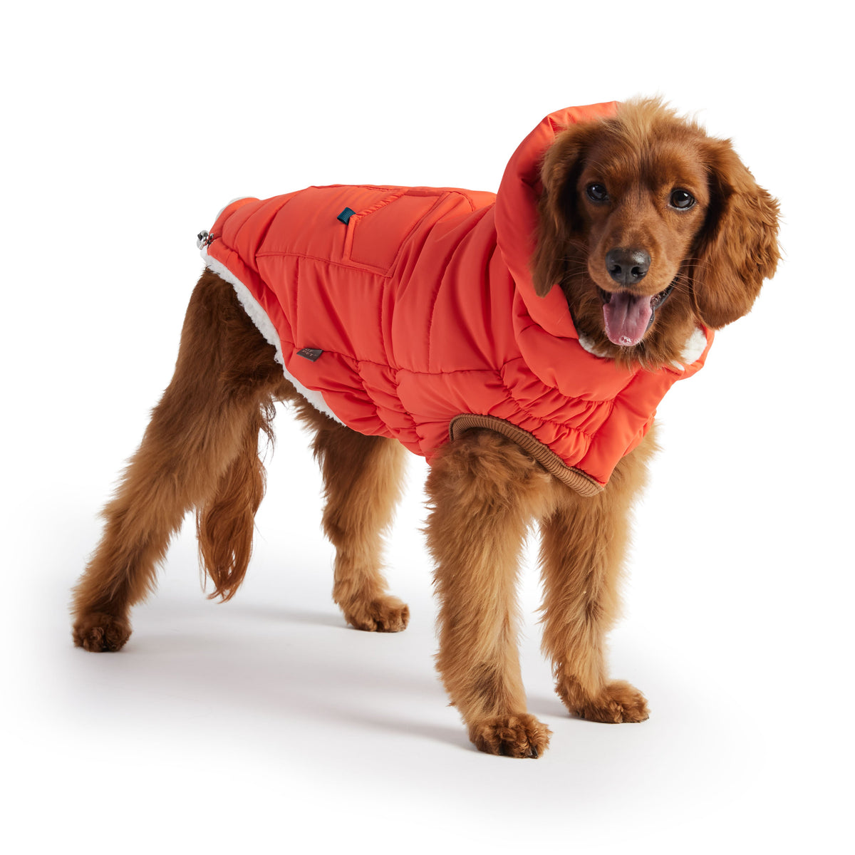GF PET Puff Dog Parka - Orange