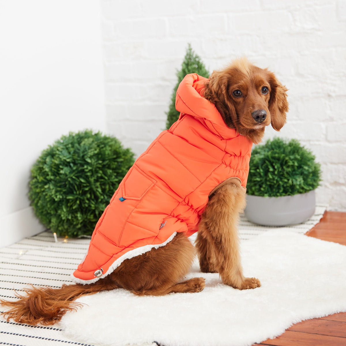 GF PET Puff Dog Parka - Orange