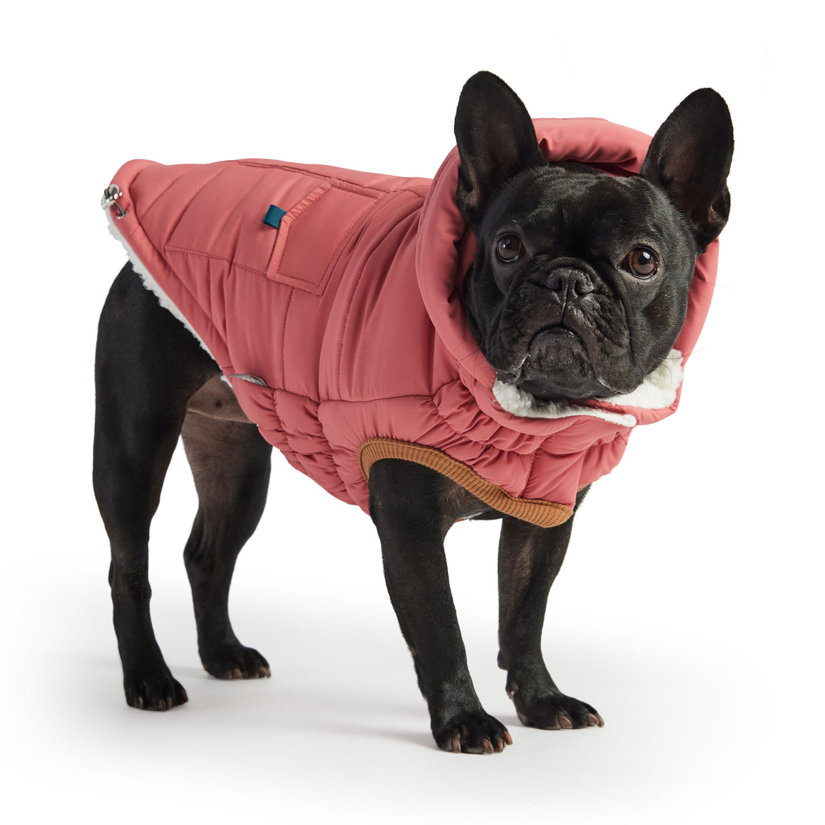 GF PET Puff Dog Parka - Pink