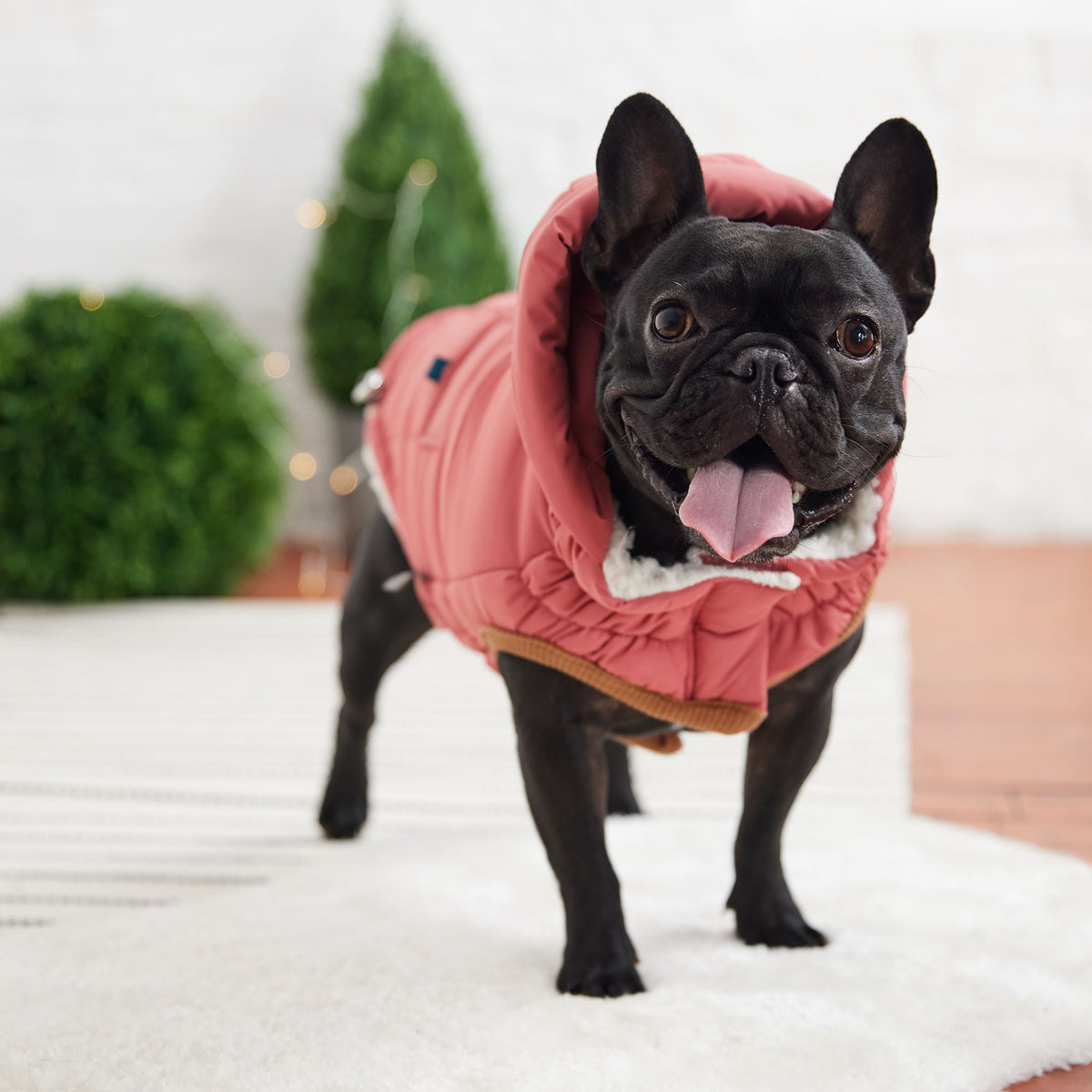 GF PET Puff Dog Parka - Pink