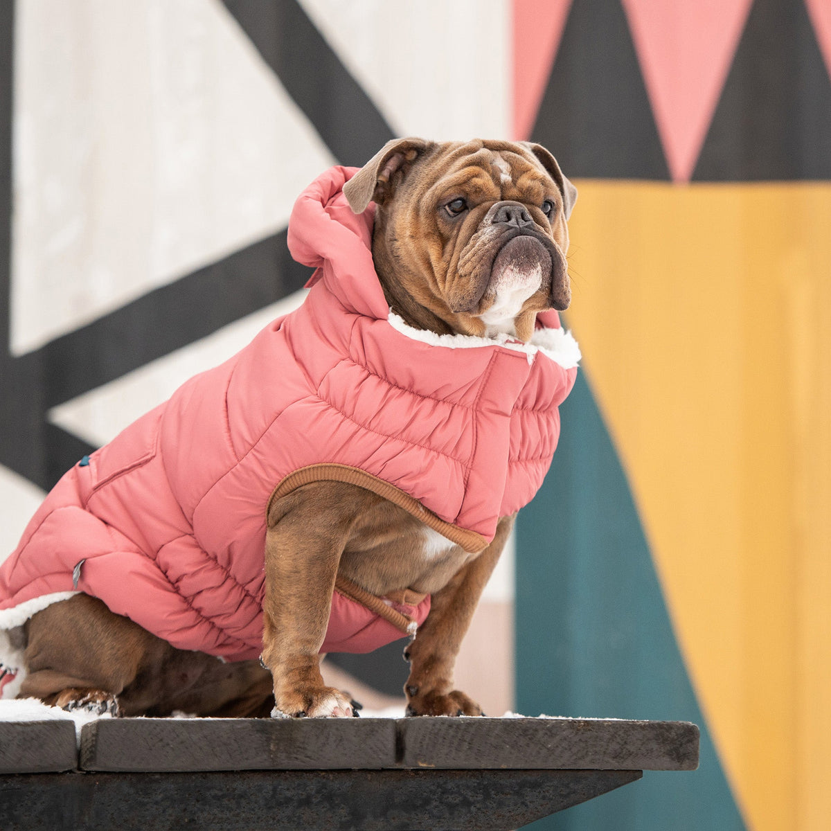 GF PET Puff Dog Parka - Pink