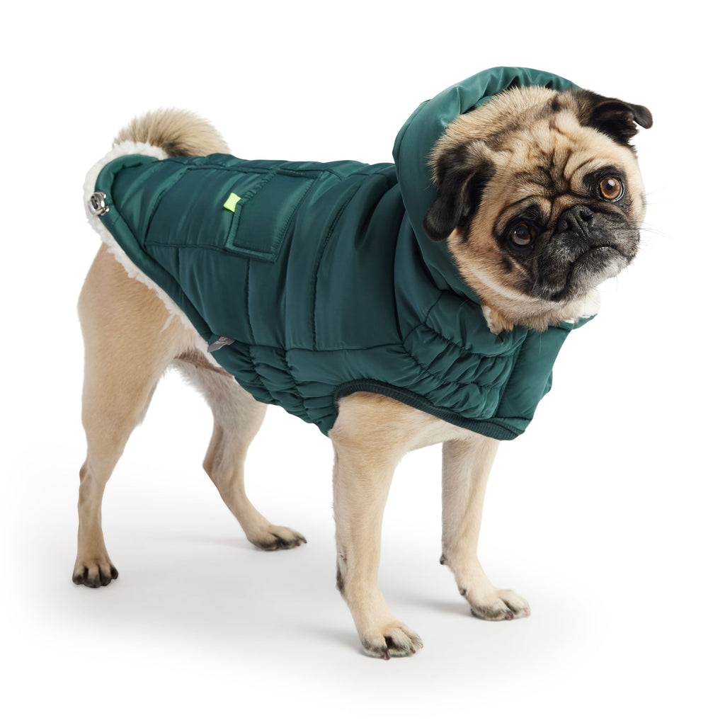GF PET Puff Dog Parka - Teal