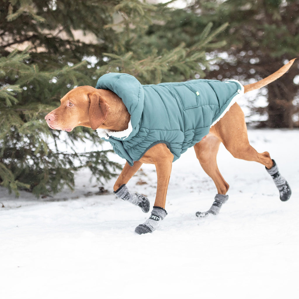 GF PET Puff Dog Parka - Teal