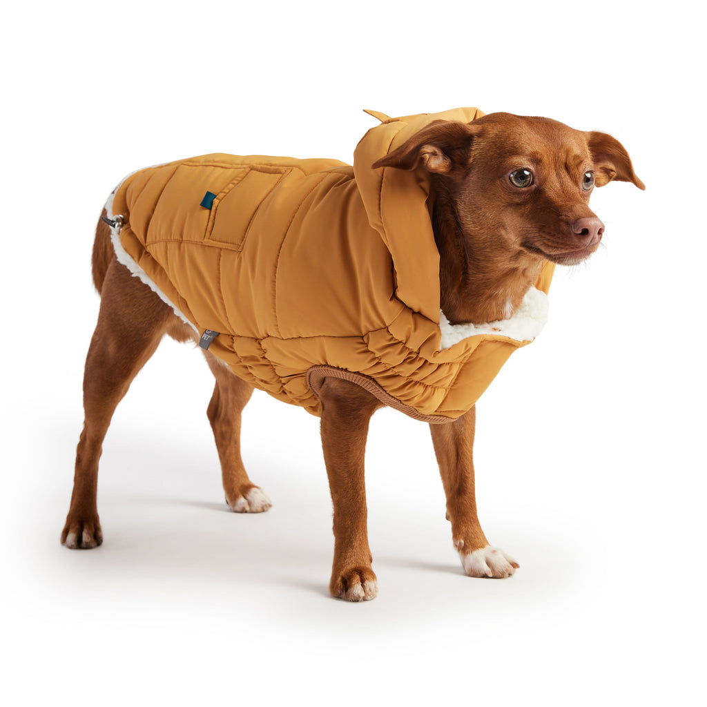 GF PET Puff Dog Parka - Yellow