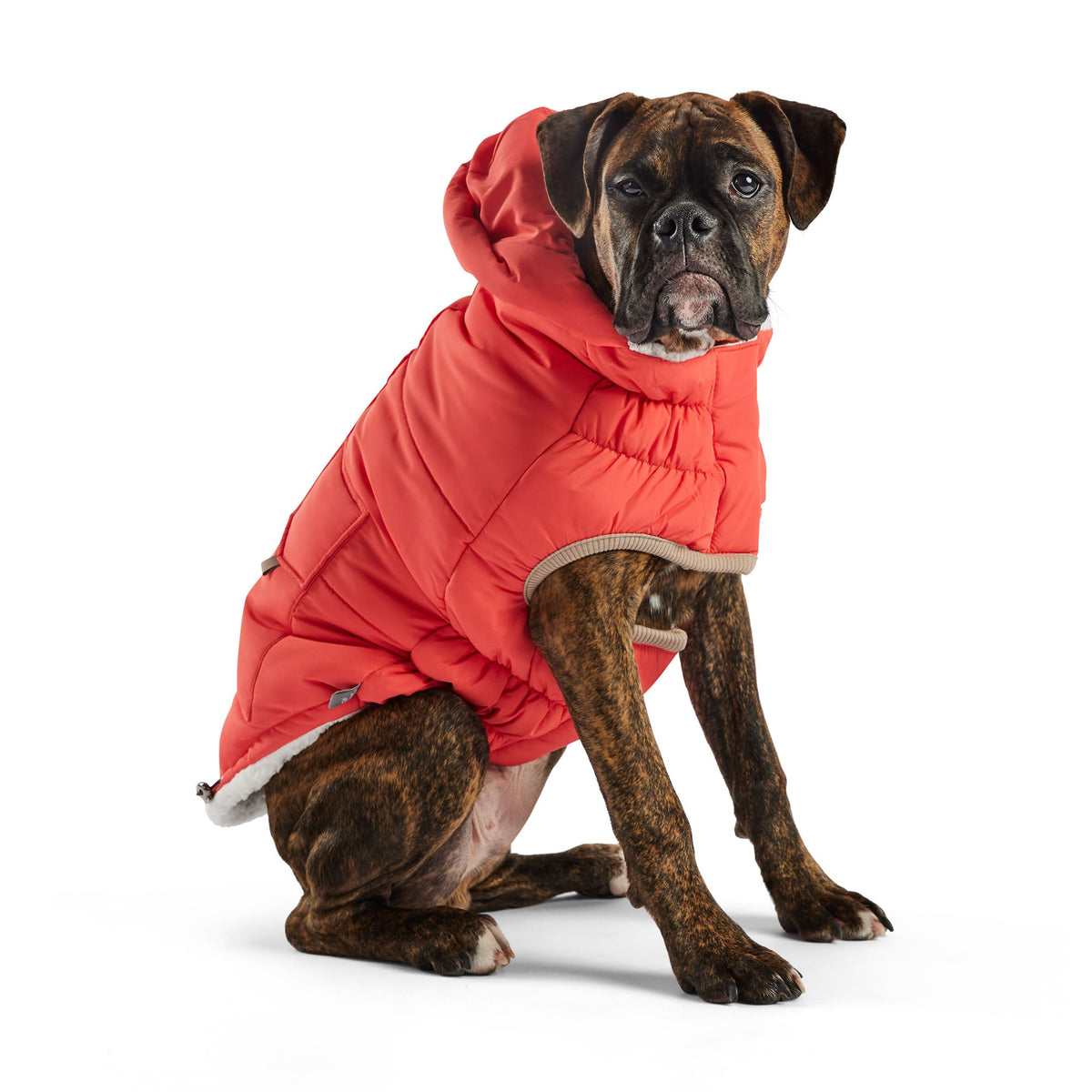 GF PET Nordic Dog Parka