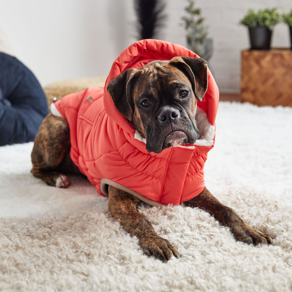 GF PET Nordic Dog Parka