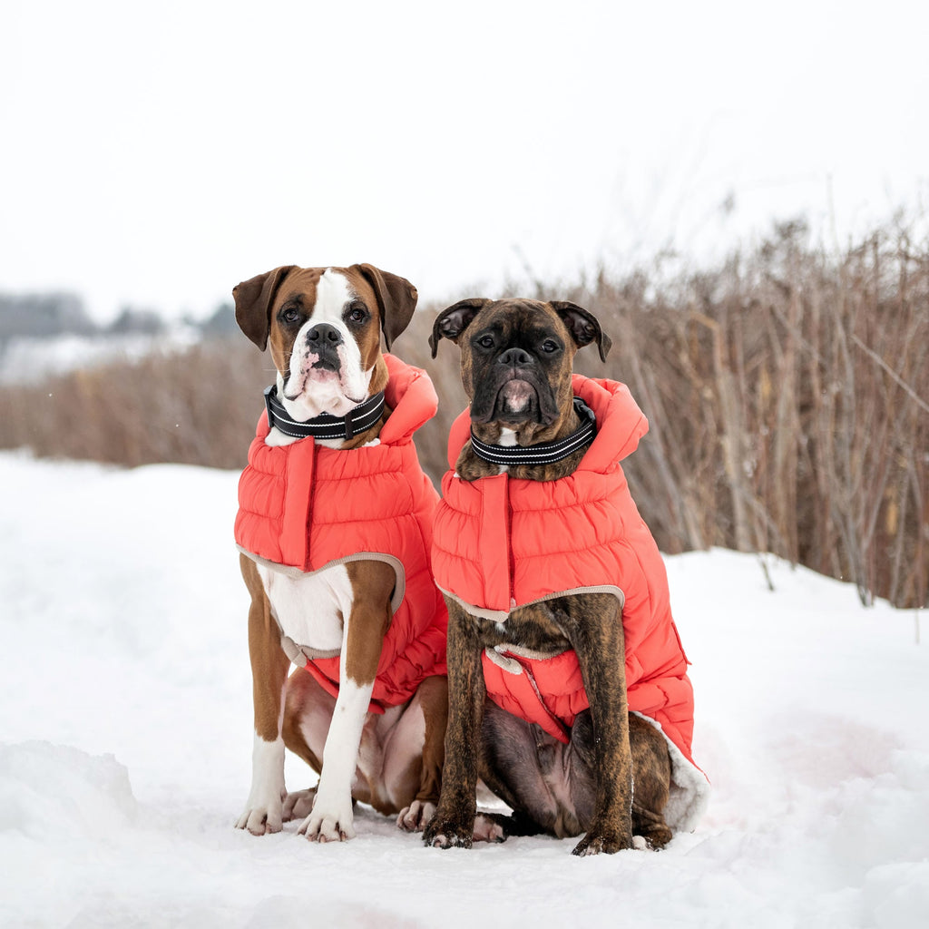 GF PET Nordic Dog Parka
