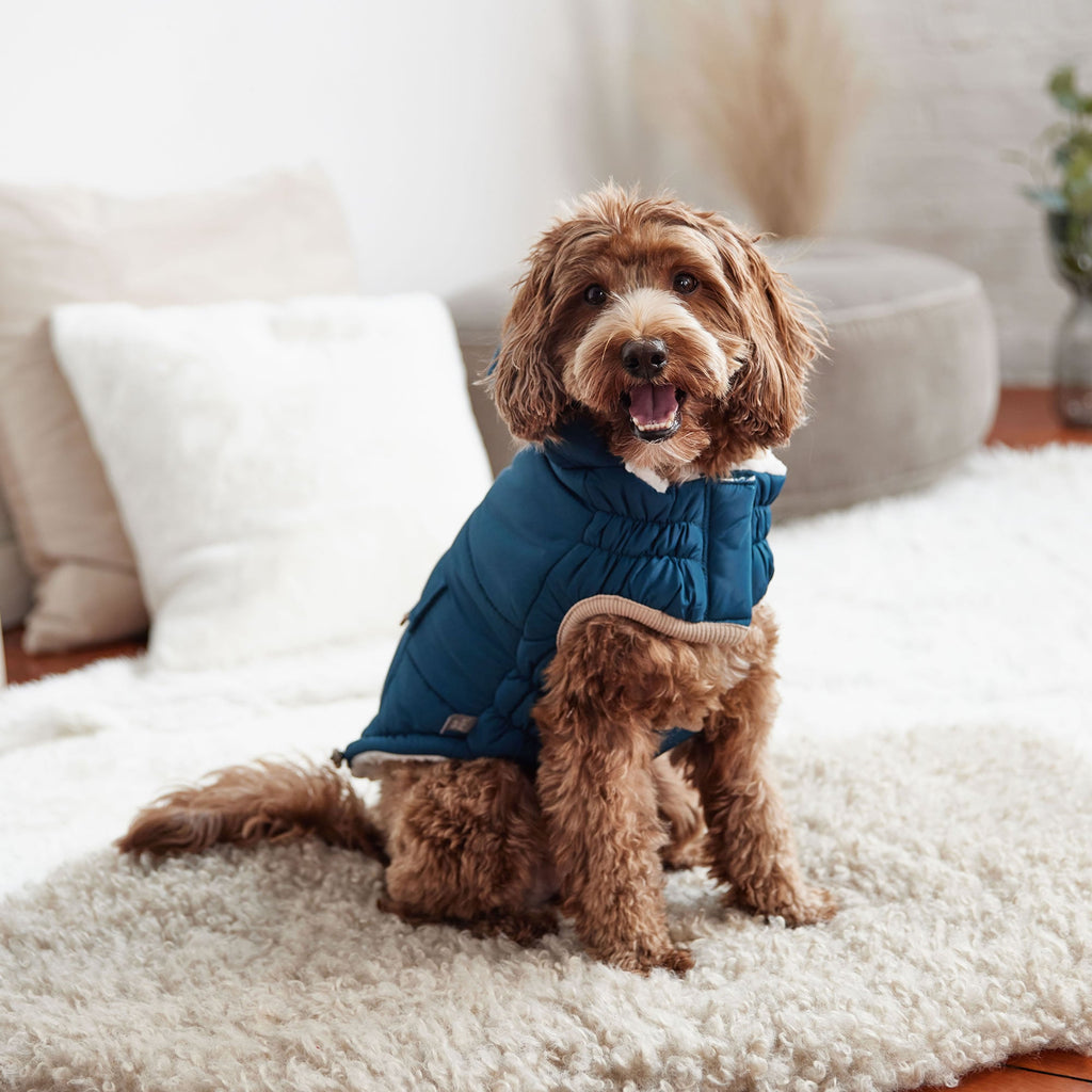 GF PET Nordic Dog Parka