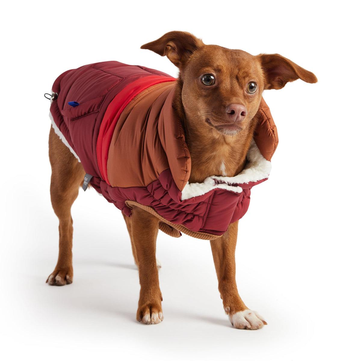 GF PET Retro Dog Puffer Jacket - Dark Red