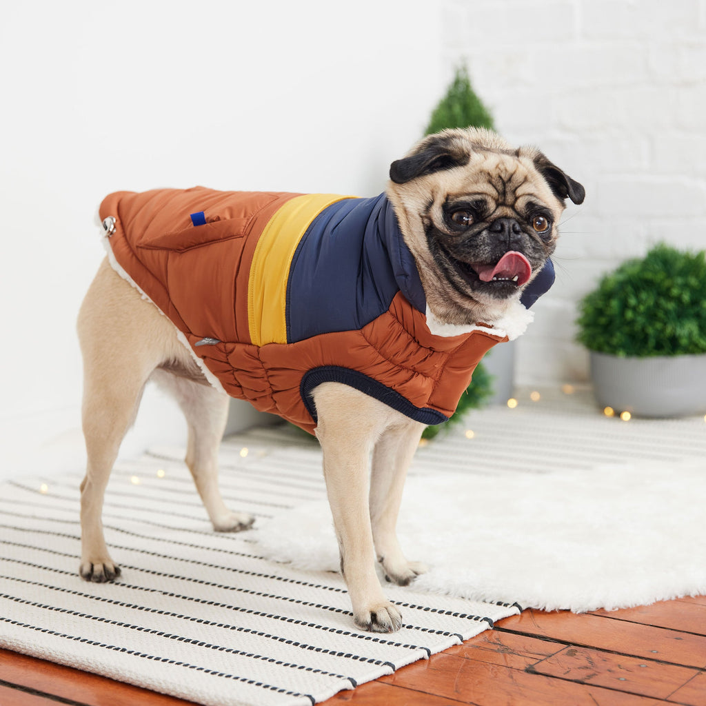 GF PET Retro Dog Puffer Jacket - Hazel