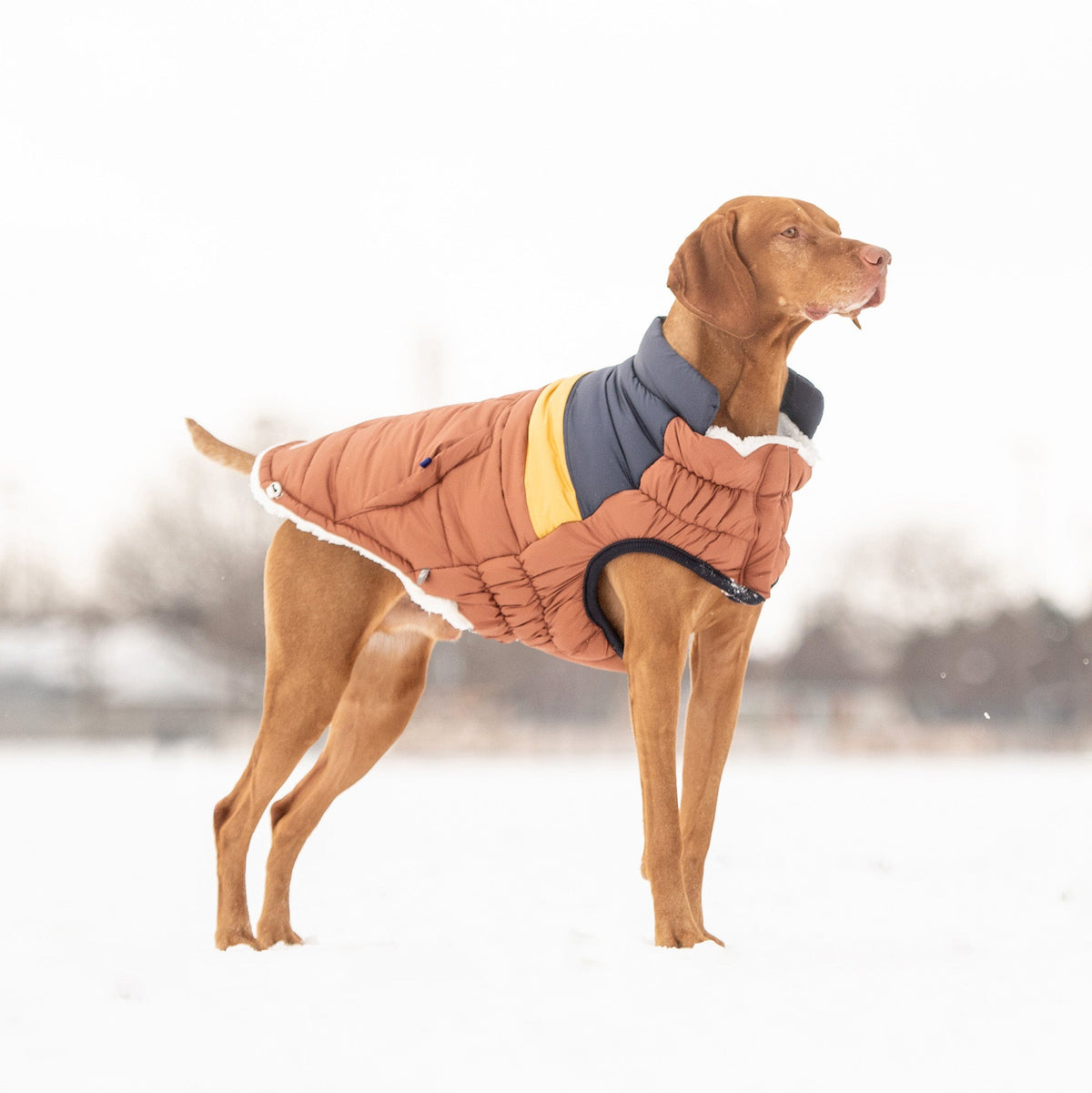 GF PET Retro Dog Puffer Jacket - Hazel
