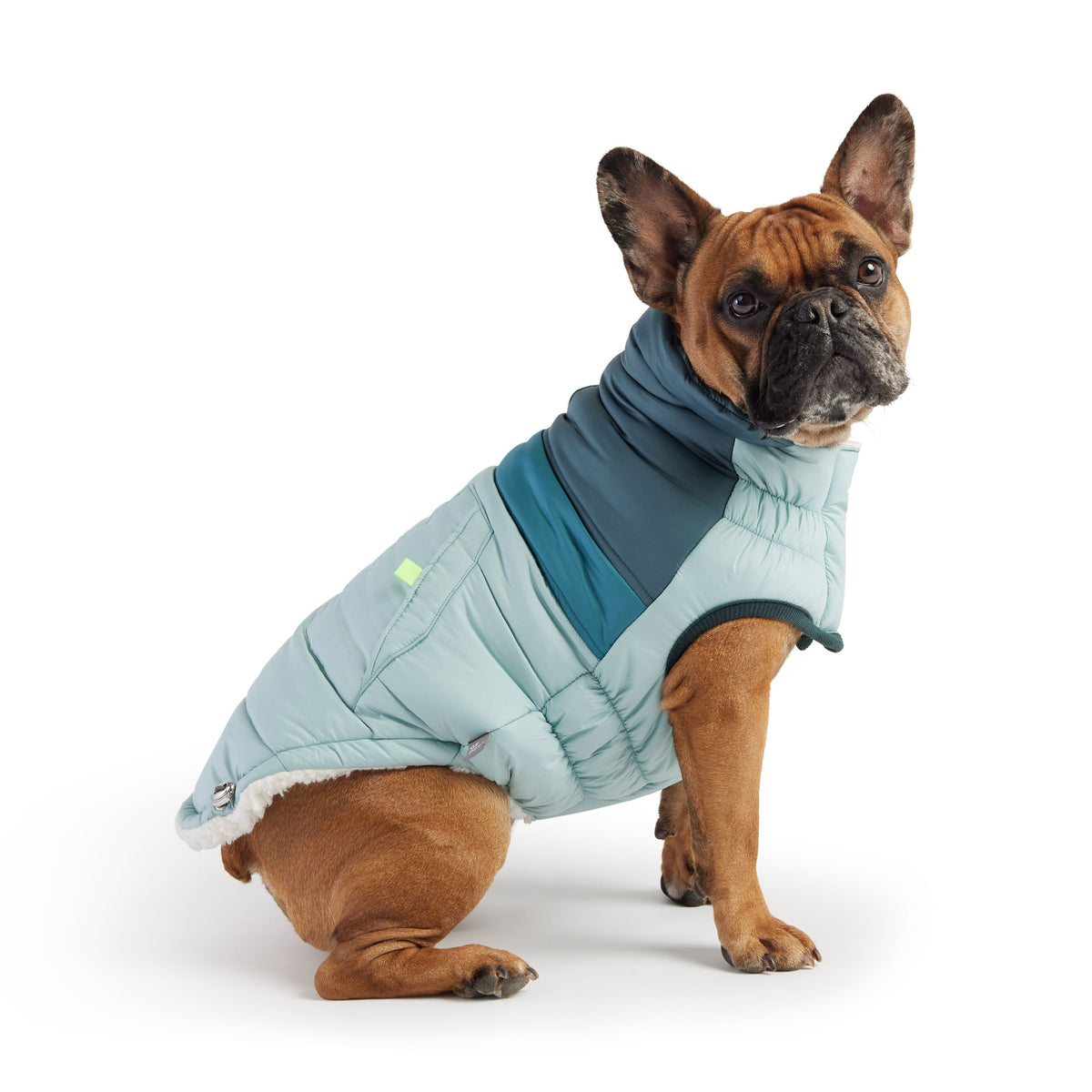 GF PET Retro Dog Puffer Jacket - Light Blue
