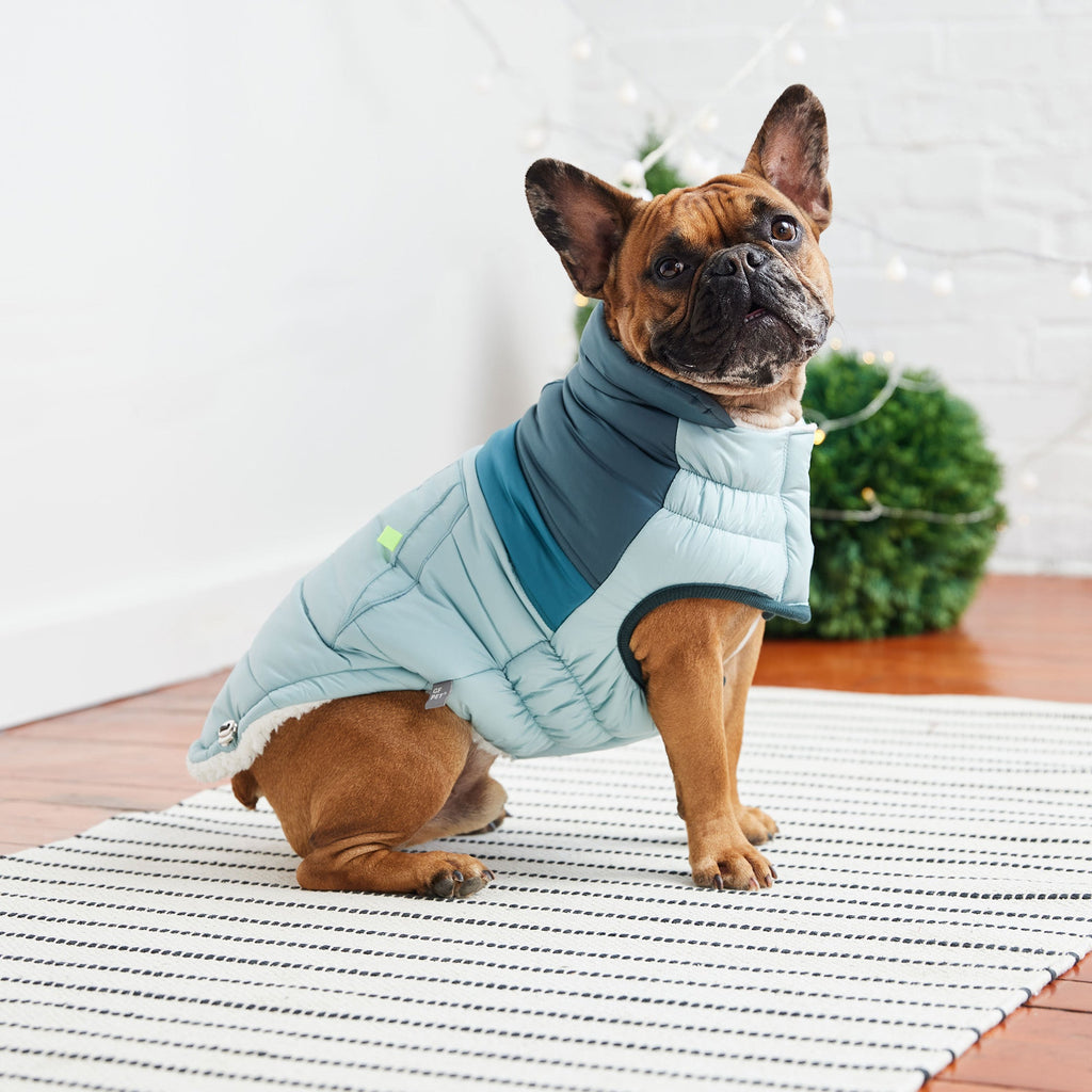 GF PET Retro Dog Puffer Jacket - Light Blue