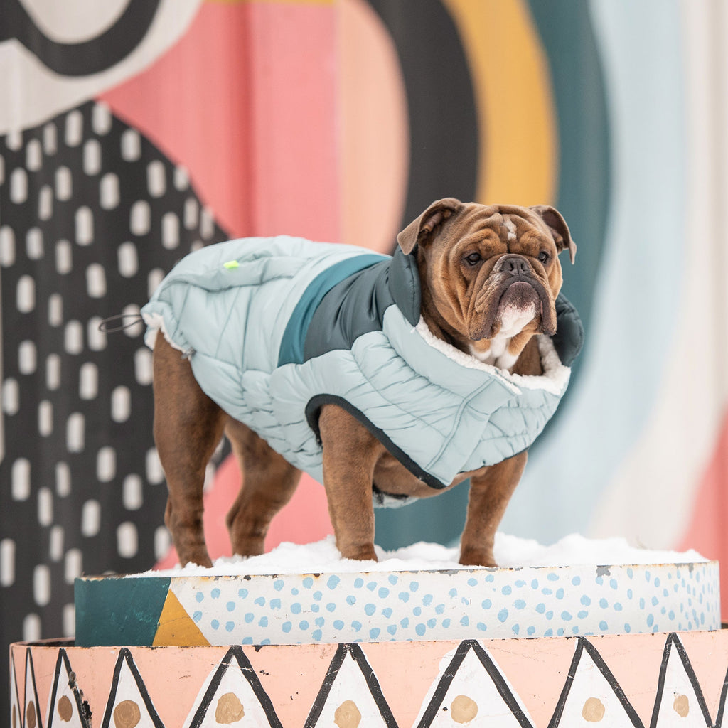 GF PET Retro Dog Puffer Jacket - Light Blue