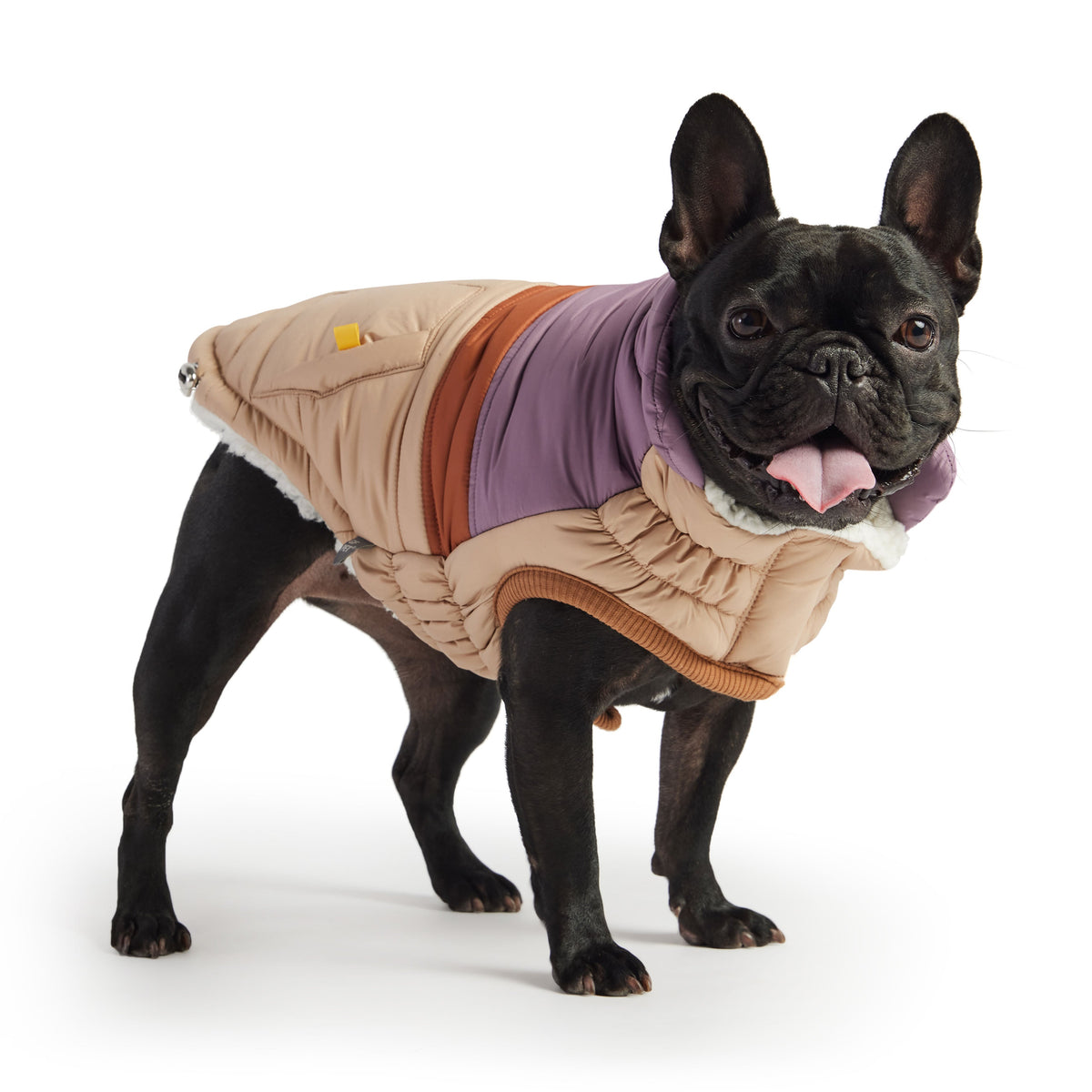 GF PET Retro Dog Puffer Jacket - Sand