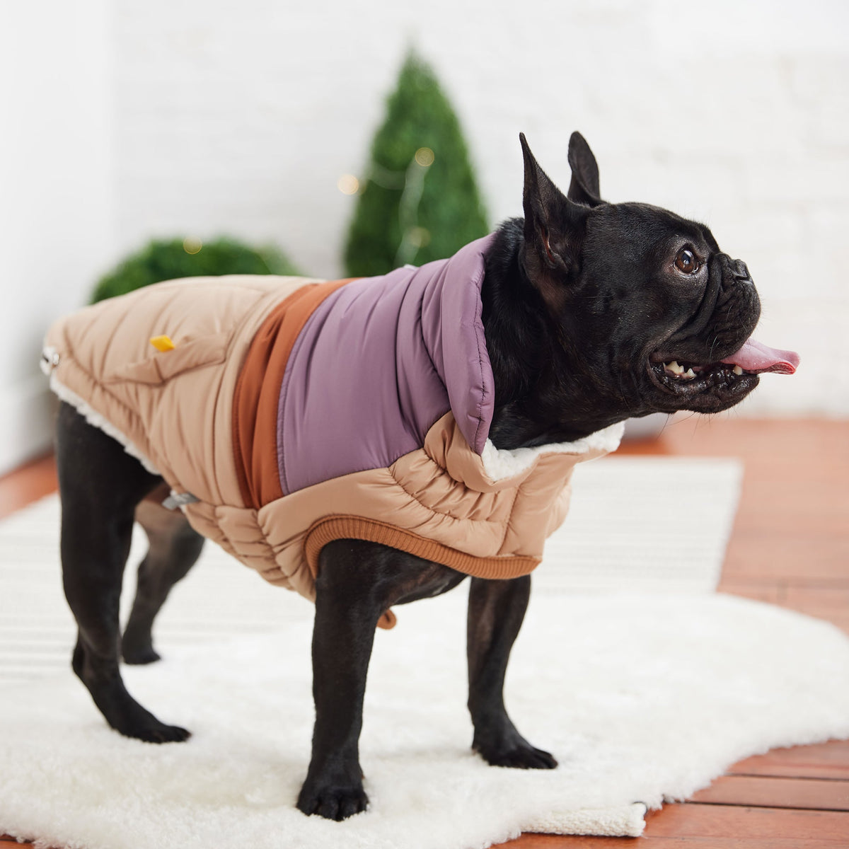 GF PET Retro Dog Puffer Jacket - Sand